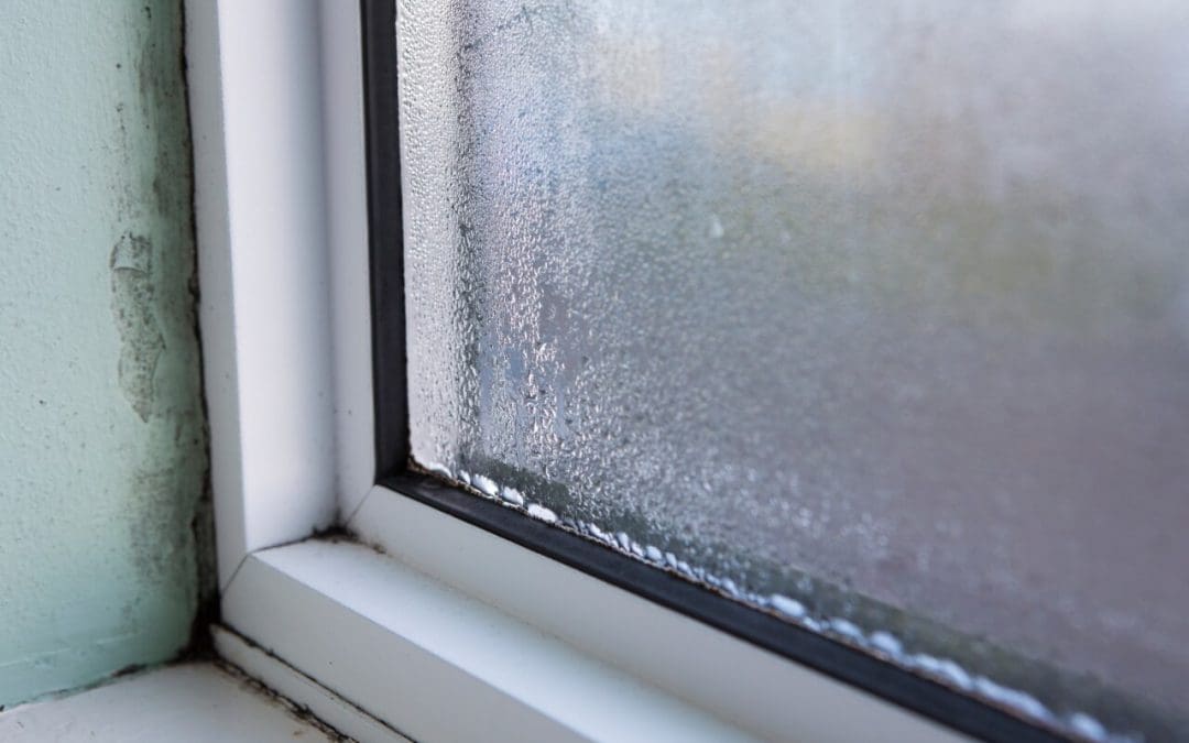 signs of mold growth