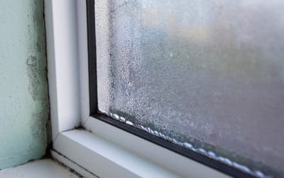 4 Signs of Mold Growth