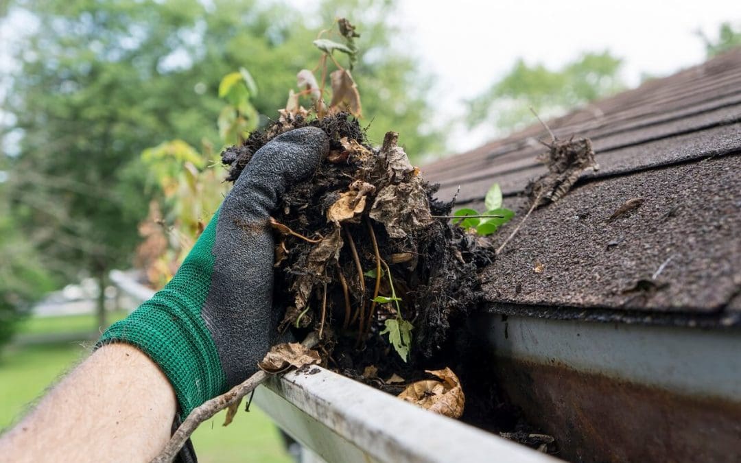 Home Maintenance Tasks Every Homeowner Should Master
