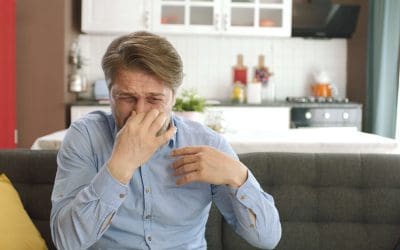 The Scent of Success: A Guide to Neutralizing Persistent Odors in the Home