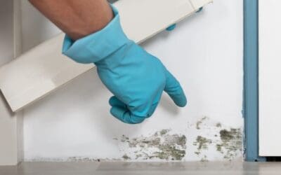 What’s Hiding in Your Home: The Health Hazards Every Homeowner Should Know