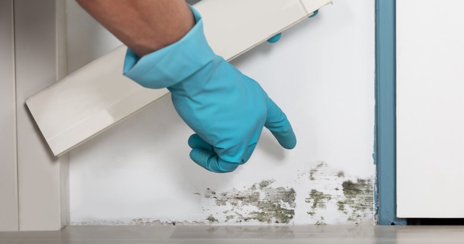Health Hazards in the Home